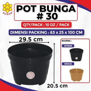Flower Pot 30